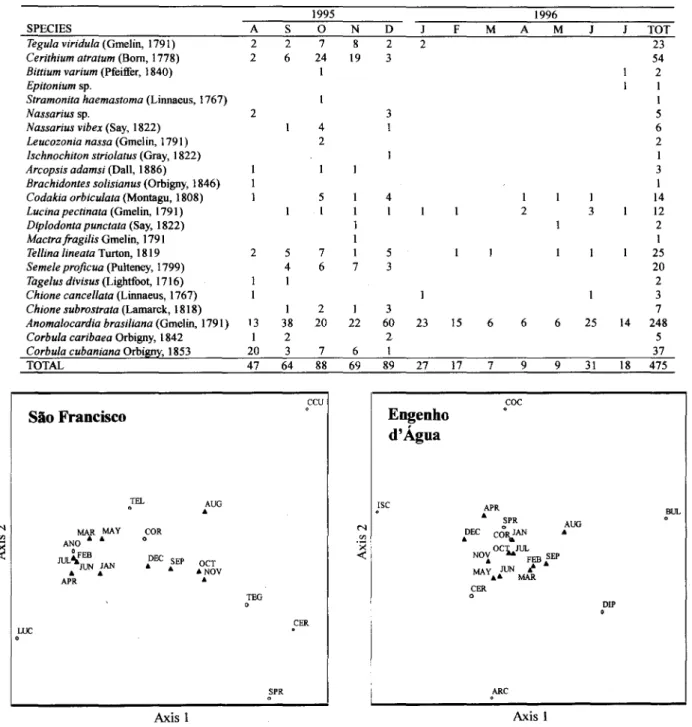 Fig. 2. Correspondence analysis of the most abundant species and of the sample months at São Francisco (total variation explained: axis 1 = 65.4 %, and axis 2 = 5.0 % -ANO= Anomalocardia brasiliana, CER= Cerithium atratum, COR=