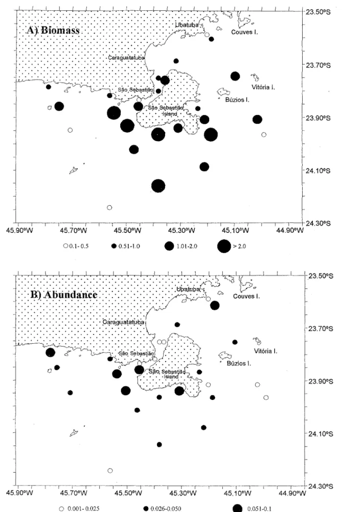 Fig. 3. Spatial distribution of (A) biomass (g m'2)and (B) abundance (fish m'2) of demersal fish off São Sebastião.