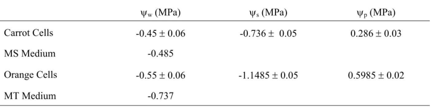 TABLE 2 - Water, osmotic and pressure (turgor) potential of cell suspensions cultured in standard  mediums in the dark and 25°C
