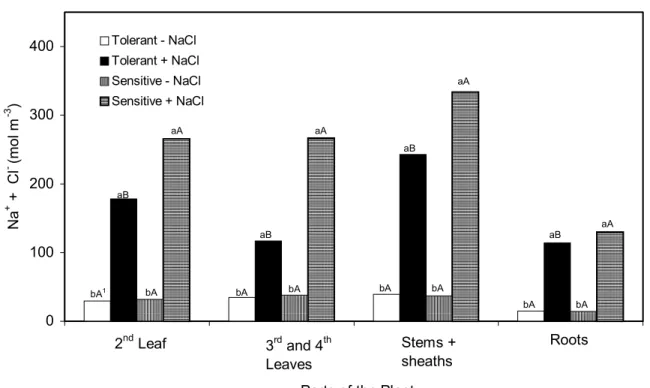 FIGURE 2 – Effect of NaCl on the Na +   plus  Cl -  concentration in different plant parts of two sorghum  genotypes