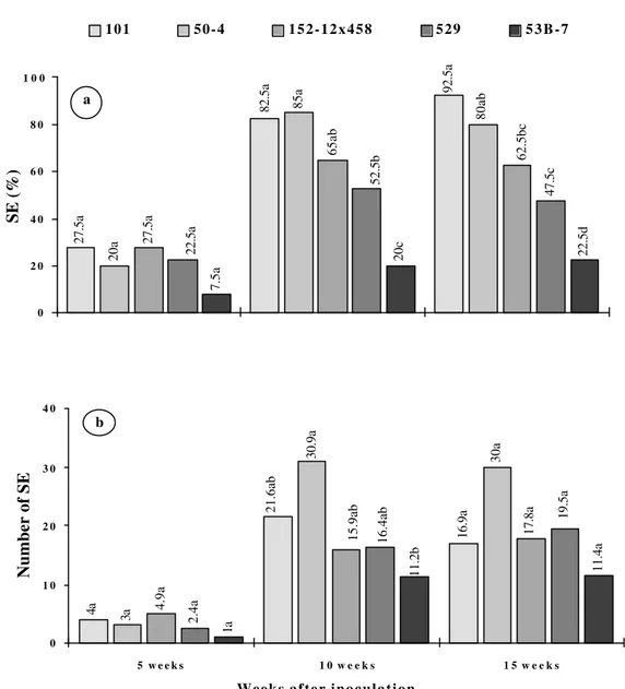 FIGURE 1 -  Induction of somatic embryos (SE):  a) percentage of SE a  e  b) number of SE b  per embryogenic explant, in five genotypes of F