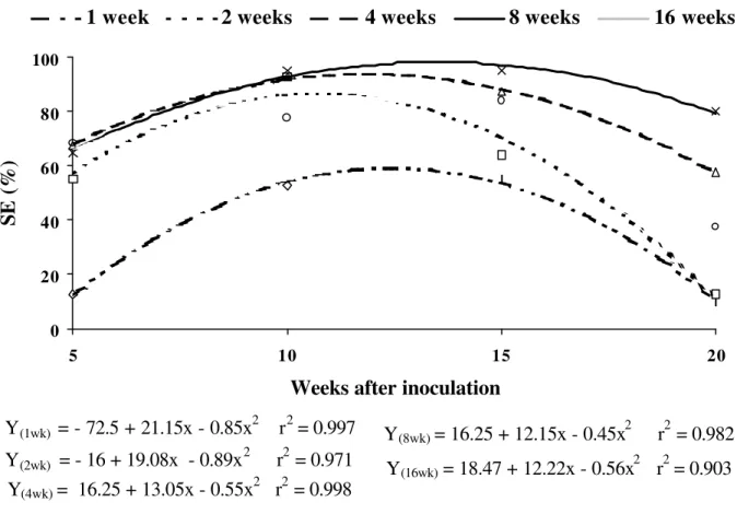 FIGURE 4 -   Effects of 2,4-D (20  µM) shock (1, 2, 4, 8 and 16 weeks) on percentage of somatic embryos (SE) of the genotype 101 of F