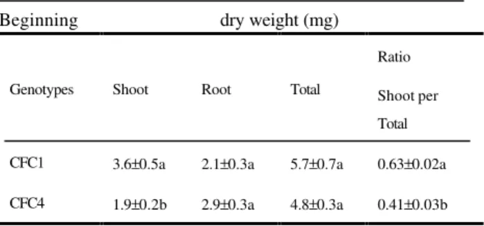 TABLE 1 - Dry matter partitioning of two genotypes of C. fimbriatum at the beginning of the experiment and after a 60-day growth period*.