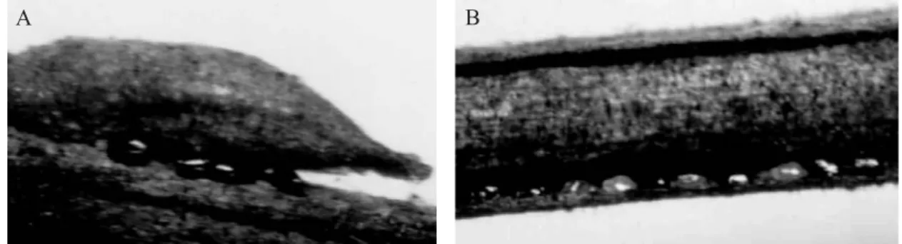 Table 1. Mean (r 95 C.I.) number of T. kahawaluokalani eggs on branches of the four cardinal positions of L