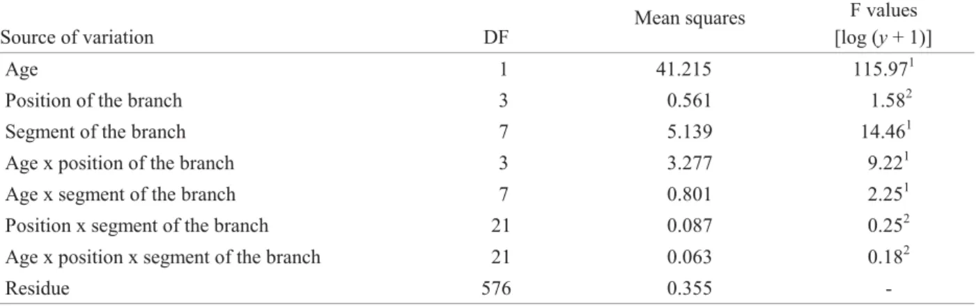 Fig. 2. Mean number of T. kahawaluokalani eggs on branches of L. indica, considering two age groups