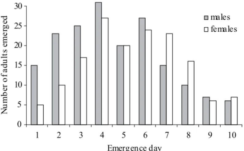 Fig. 4. Male-to-female ratio of emerged adults in a single generation in the lab at 28 r 2qC indicating a clear higher ratio of  emerging males, particularly in the  ﬁ  rst two days of emergence