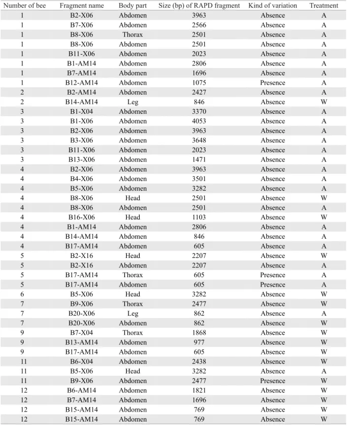 Table 2. Features of the RAPD fragments produced by ampli ﬁ  cation of genomic DNA isolated from individual body  parts of E