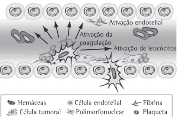 Figura 2 - Interações da célula tumoral no leito vascular. 