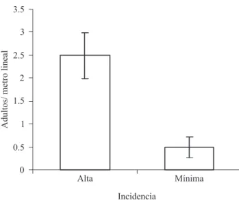 Fig. 6. Resultado del muestreo de adultos de mosca pinta en parcelas con alta incidencia e incidencia mínima