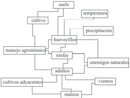 Fig. 1. Componentes del sistema mosca pinta – caña de azúcar. (modificado de López-Collado et al