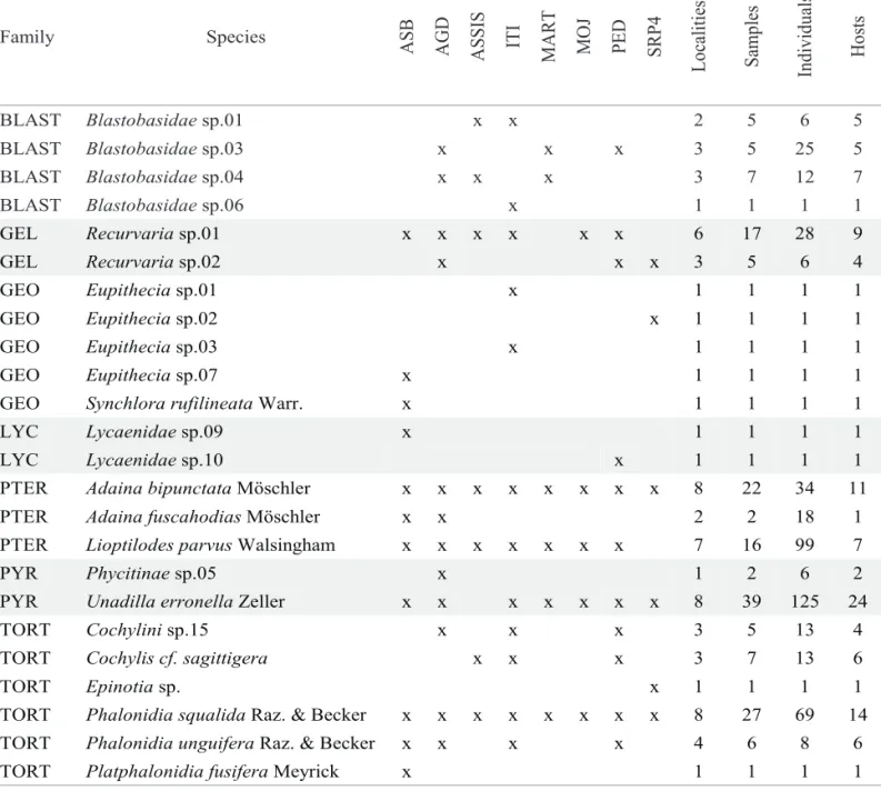 Table 3. Endophagous Lepidoptera reared from Asteraceae capitula sampled in eight cerrado areas in São Paulo