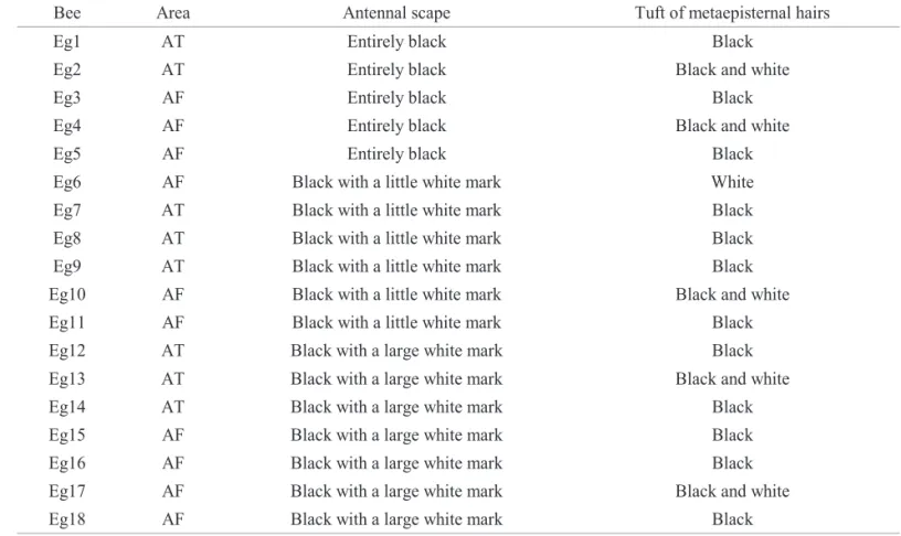 Table 1. Morphological characters of each of the 18 males of E. truncata collected in Parque Arthur Thomas (AT) and in a wooded area around Córrego Água Fresca (AF) in Londrina city, Brazil.
