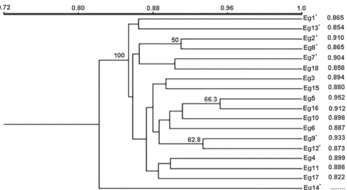 Figure 2. Dendrogram of genetic similarity constructed from the pairwise Jaccard coefficient by the UPGMA method for 18 males of E