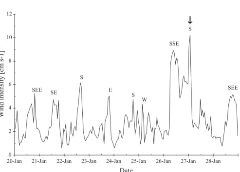 Fig. 9. Wind intensity and direction from Pontal do Paraná, southeastern coast of Brazil; January 2006