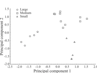 Fig. 5. Antennal response of three sizes of S. geminata workers to the equivalent of one Dufour gland secretion