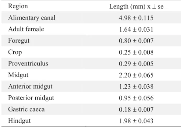 Table 1. Average length of parts of the alimentary canal  of H. hampei. (n = 12)ph ca av gc pa mt rt anescrpvilpv