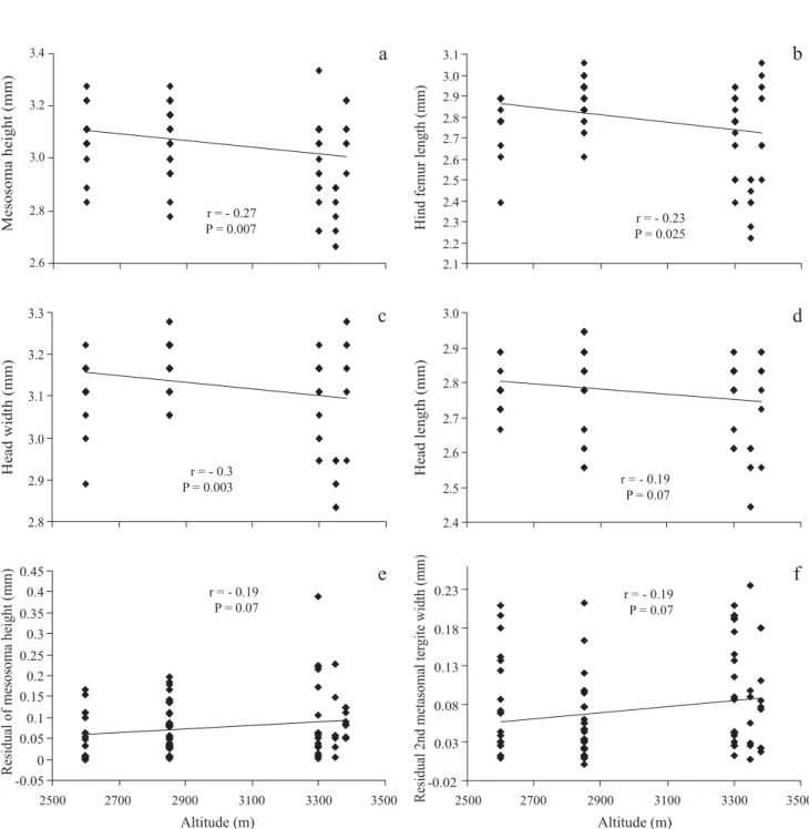 Fig. 4. Regression analyses between altitude and six measurements. Regressions for (a) mesosoma height, (b) hind femur  length, and (c) head width were signi ﬁ  cant while regression for (d) head length was not