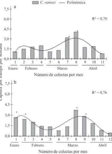 Fig 1 Fluctuación poblacional de adultos de Carelmapu ramosi  durante enero-abril en las temporadas 2006 (a) y 2007 (b)