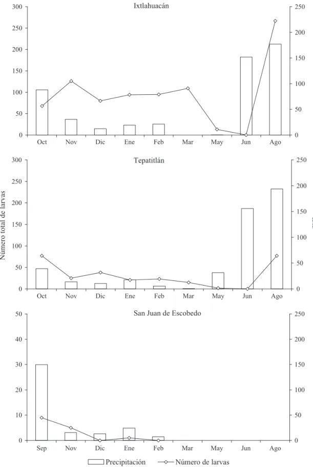 Fig 25 Distribución estacional total de larvas de varias especies de melolóntidos y precipitación (mm) en los municipios de  Ixtlahuacán del Río, Tepatitlán y San Juan de Escobedo, Jalisco, México