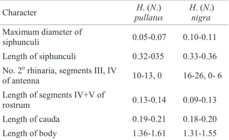 Table 2 Comparison of Hyperomyzus  (Neonasonovia)  pullatus n.sp. with H. (N.) nigra.