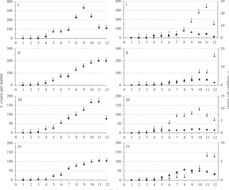 Fig 1 Average numbers of Tetranychus evansi (■) [plots without Phytoseiulus longipes release (left) and with P
