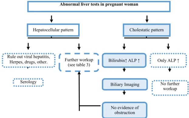 Figure 1. Workup abnormal liver tests in pregnant woman. Adapted (5) 