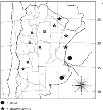 Fig 35 Species distribution in Argentina and Uruguay: a) Epicauta bella,  Epicauta brunneipennis, Epicauta diagramma and Epicauta zebra; b)  Epicauta griseonigra, Epicauta riojana and Epicauta luctifera.