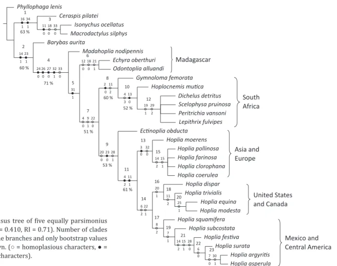 Fig 1 Strict consensus tree of  ive equally parsimonius  trees (TL = 159, CI= 0.410, RI = 0.71)
