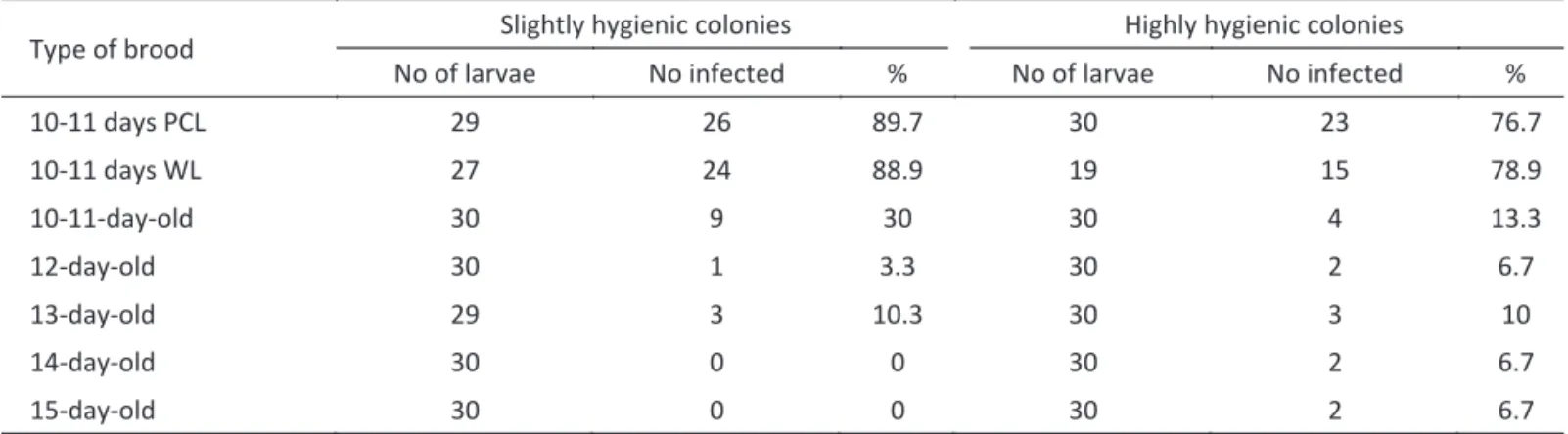Table 2 Mycological analysis of different types of larvae and pupae extracted from slightly hygienic colonies (UR < 80%)  and highly hygienic colonies (UR > 90%) after providing them with pollen cakes containing  Ascosphaera apis 