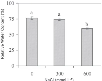Figure  2.  Effects  of  NaCl  treatments  on  betaine  (A), proline  (B)  and  total  soluble  carbohydrates,  TSC  (C) concentrations  in  roots  and  leaves  of  algarrobo seedlings