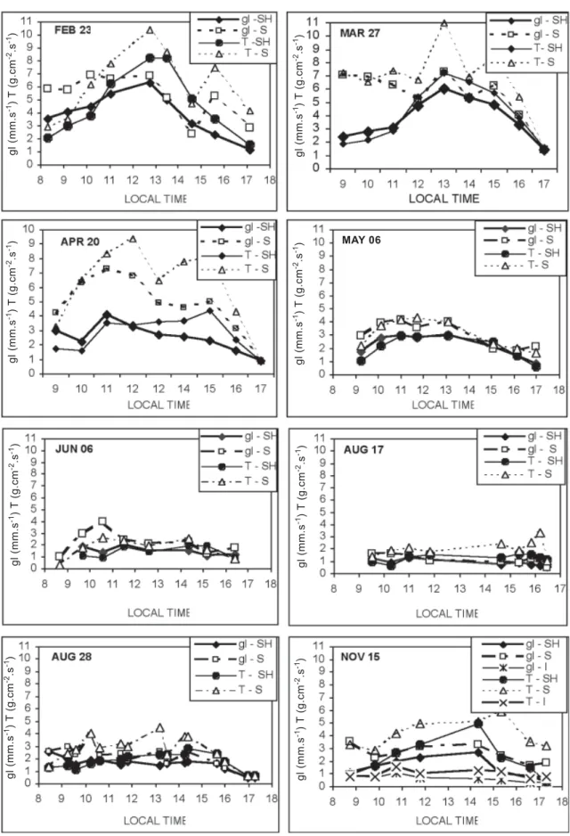 Figure 3. Variation of the diurnal leaf vapor diffusive conductance (gl) and transpiration rate (T), for different leaves classes during several days of the experimental period.