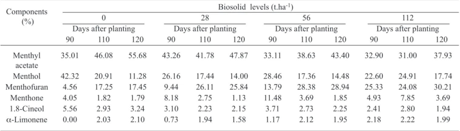 Figure 5. Menthofuran content in Mentha piperita L. plants  grown under different biosolid levels, at three harvesting  times, at 90, 110, and 120 days after planting (DAP)