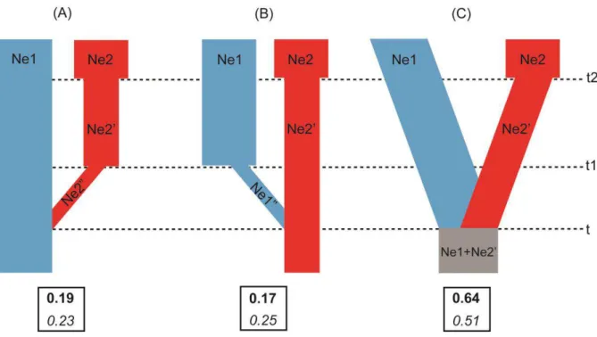 Figura  6.  Representação  esquemática  dos  cenários  de  diversificação  testados  e  seus  respectivos parâmetros: (A) modelo de especiação a partir da linhagem Sudoeste (azul), com  divergência   e   efeito   fundador   (Ne2”)   na   linhagem   Nordest