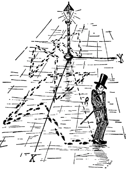 Figura 2.5: O andar do bˆebado. Retirado da referˆencia [67].
