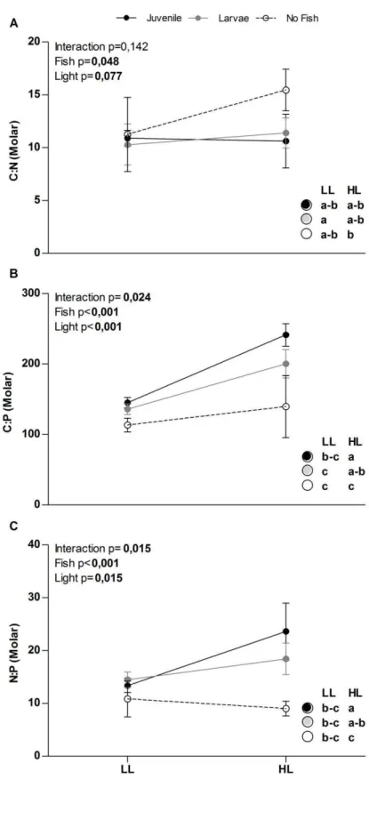 Figure 2: Effects of light and fish levels and their interactions on seston  C:N (A), C:P (B) and N:P (C) 