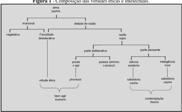 Figura 1 - Composição das virtudes éticas e intelectuais. 