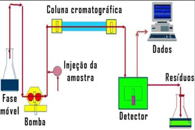 Figura 2.5 - Esquema de Cromatografia Líquida de Alta Eficiência. Modificada pela  autora