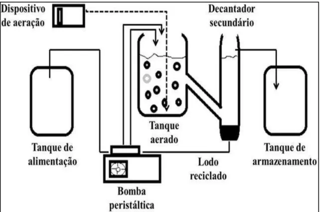 Figura 3.1 - Sistema experimental de lodos ativados. Fonte: Oliveira (2014). 