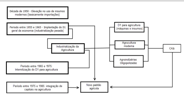 Figura 04: Síntese esquemática do processo de modernização da agricultura 