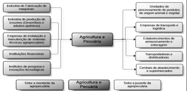 Figura 05: Síntese das articulações intersetoriais entre a agropecuária e a indústria 