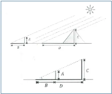 Figura 2 - Medida da sombra e da altura da pirâmide 