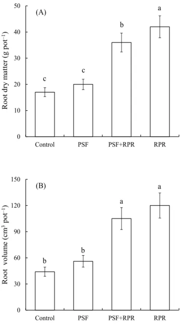 Figure 2. Effects  of inoculation with  phosphate-solubilizing fungi (PSF) and application of  reactive  phosphate  rock  (RPR)  on  root  dry  matter  (A)  and  root  volume  (B)  of  sorghum  [Sorghum bicolor  (L.)  Moench]