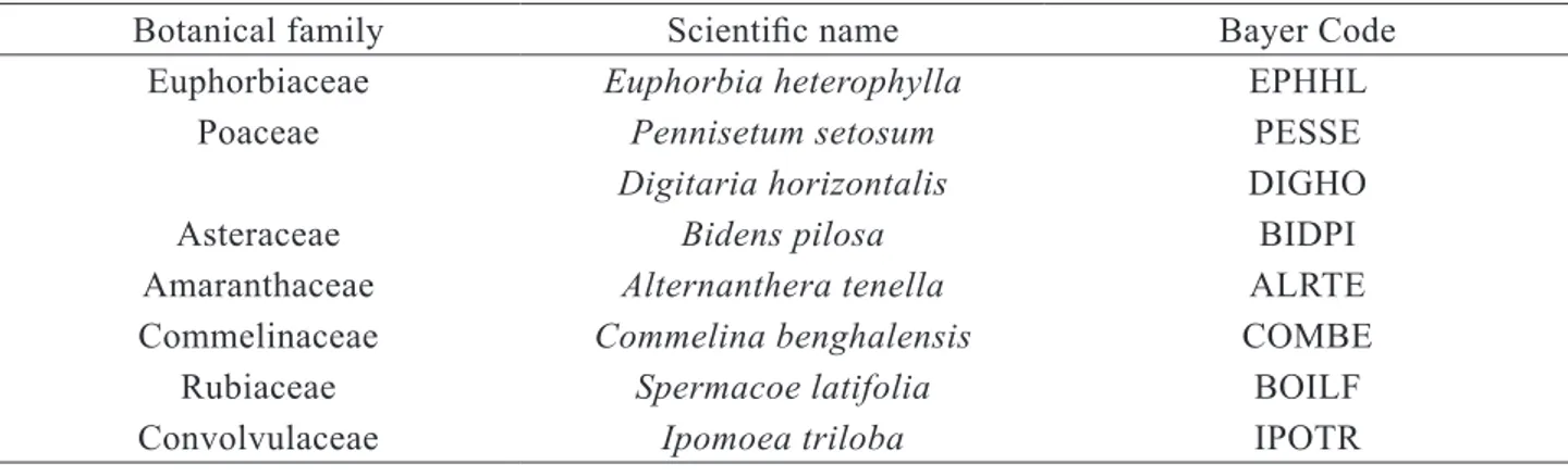 Table 1. List of weeds identified by botanical family, scientific name and international code ‘Bayer Code’.