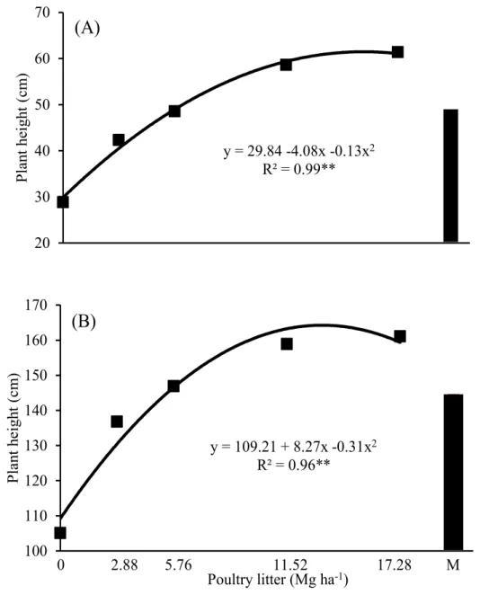Figure 4.  Plant height averages after 14 days of weed control (31 DAS) (A) and plant height  averages after 28  days of weed control  (45  DAS)  (B) using chemical and mechanical  methods, as a function of increasing rates of poultry litter