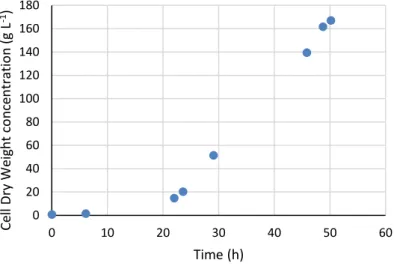 Figure 3.1. Cell Dry Weight over the course of the bioreactor assay. 