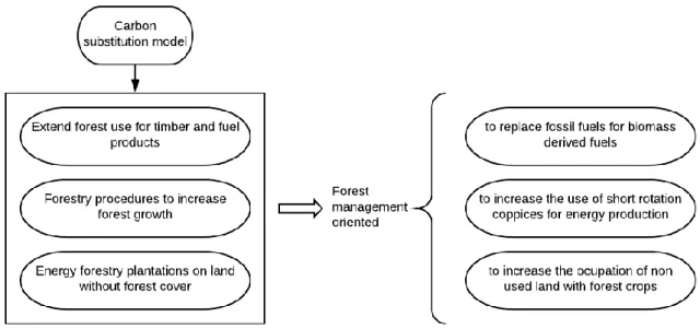 Figure 3. Forest management for carbon substitution (adapted from [36]). 