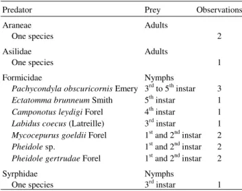 Table 3. Diversity of predators observed feeding on developmental stages of the spittlebug D
