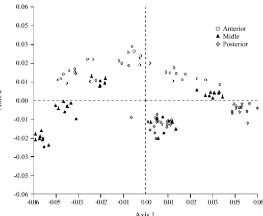 Figure 2. Multivariate analysis of the main components for comparison of the morphometric data of the anterior, middle and posterior regions of D