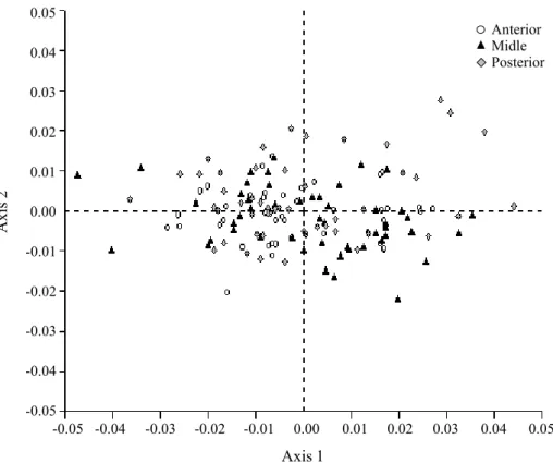 Figure 3. Multivariate analysis of the main components for comparison of the species of morphometric data of columnar cells from the anterior, middle and posterior regions of D