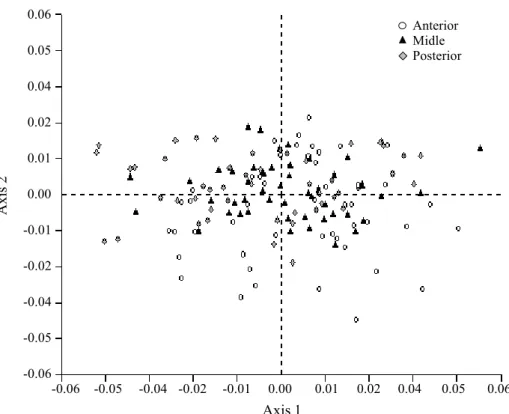 Figure 5. Multivariate analysis of the main components for comparison of the species of morphometric data of regenerative cells from the anterior, middle and posterior regions of D